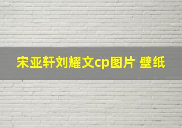 宋亚轩刘耀文cp图片 壁纸